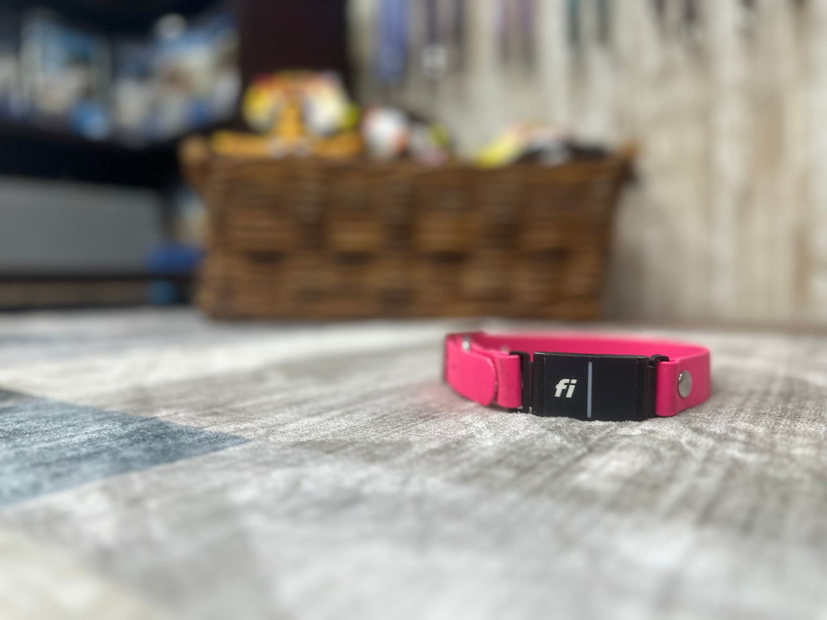 BioThane® Fi Series 3 Compatible Dog Collar | Custom 1" Waterproof Band *