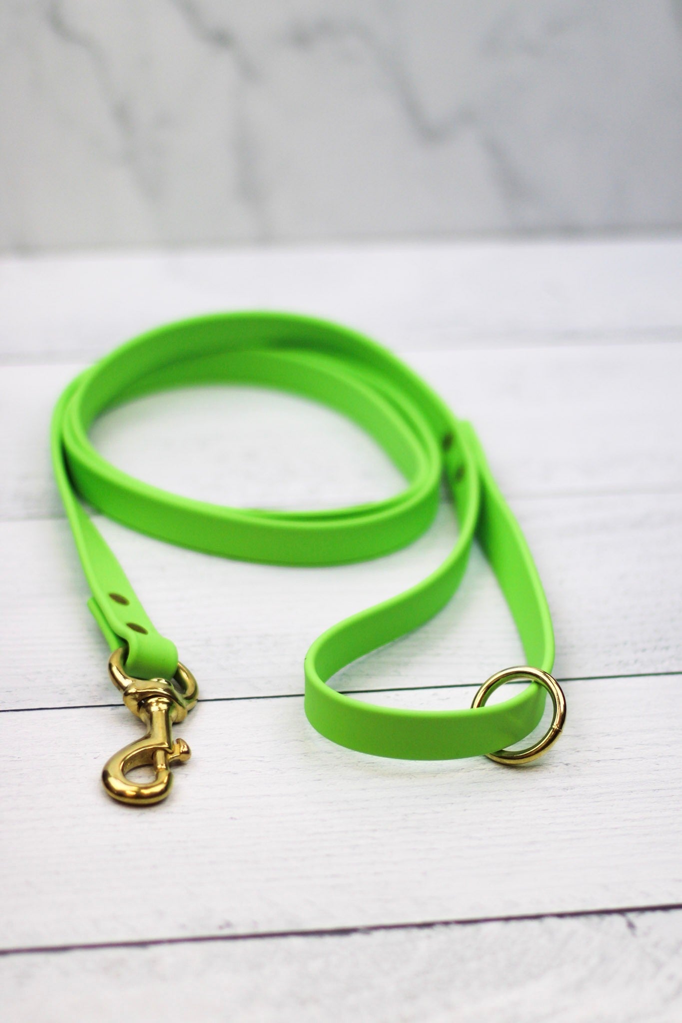 Key Lime Biothane Leash Le Gray Haus