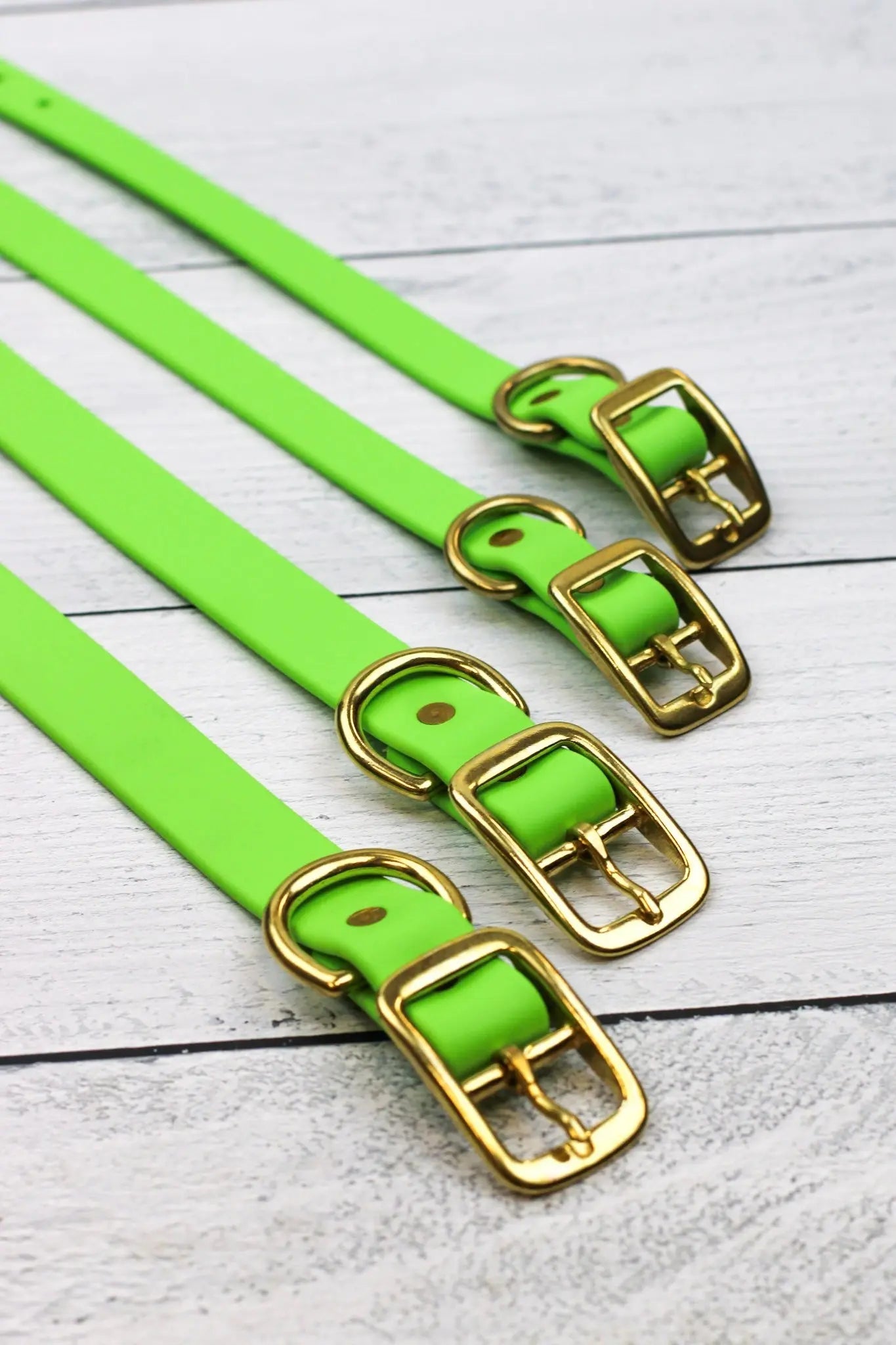 Key Lime Biothane Collar Le Gray Haus