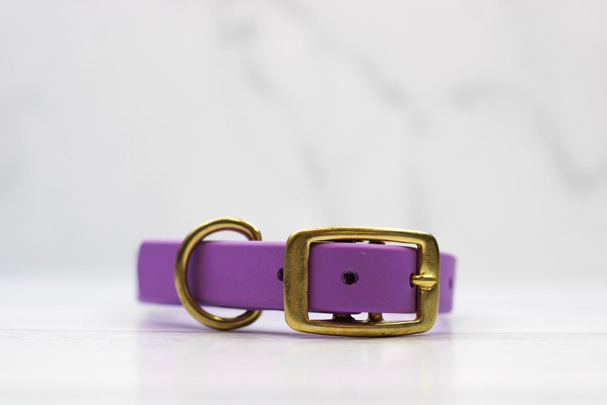 Taro Tango Biothane Collar Le Gray Haus