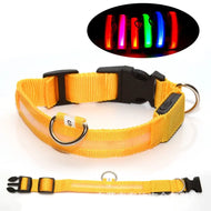 Milou & Lumi LED Glowing Pet Collar - Yellow