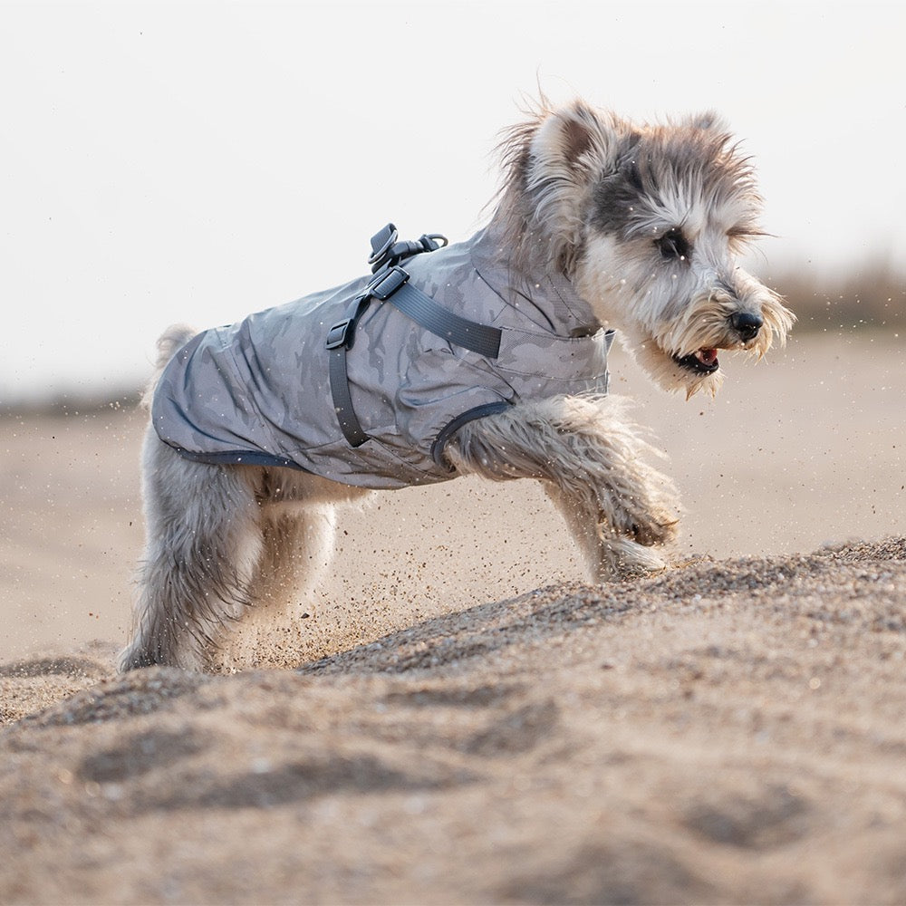 Milou & Lumi Dog Waterproof Reflective Jacket with Harness Dr. Milou