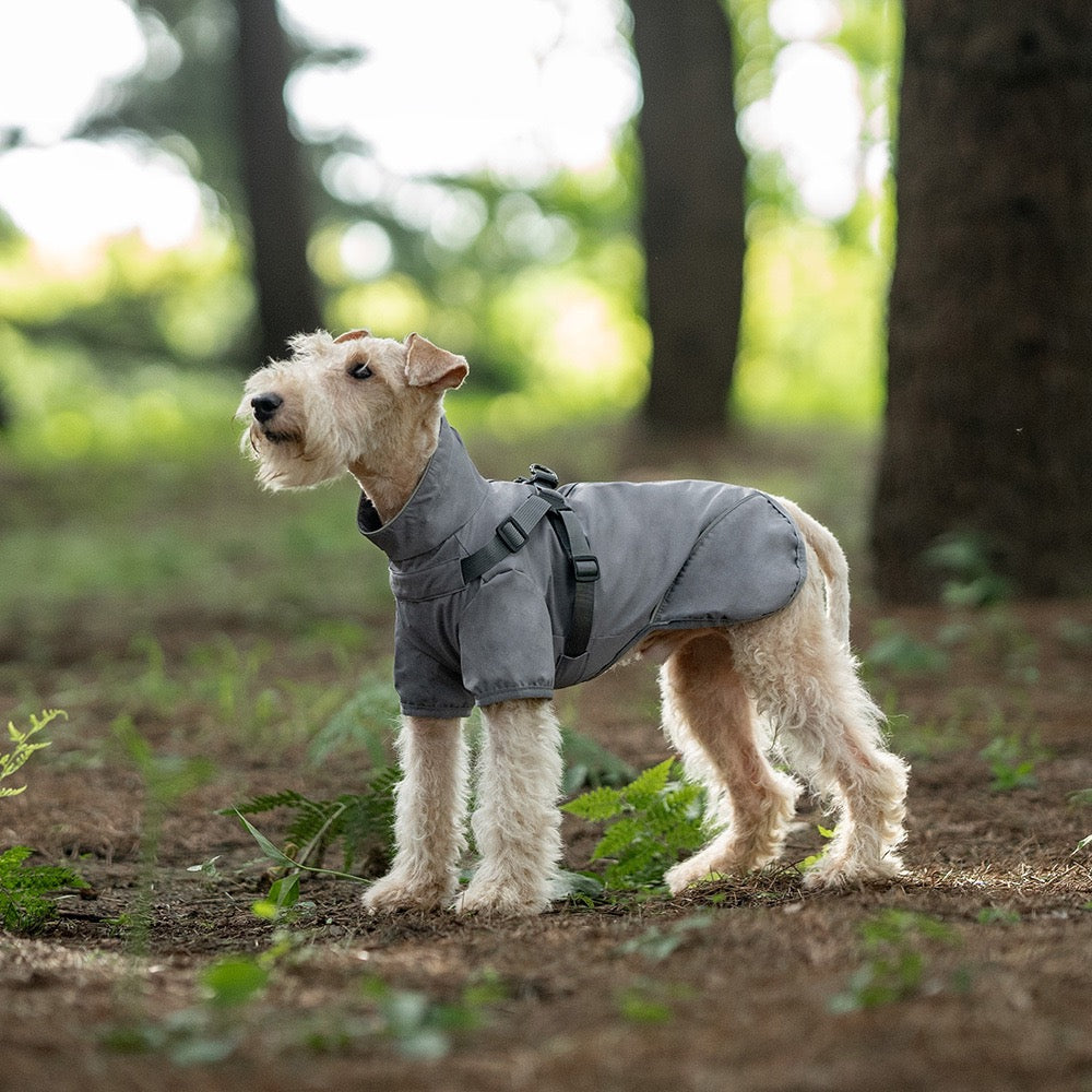 Milou & Lumi Dog Waterproof Reflective Jacket with Harness Dr. Milou