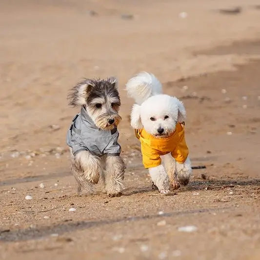 Milou & Lumi Dog Waterproof Reflective Jacket with Harness