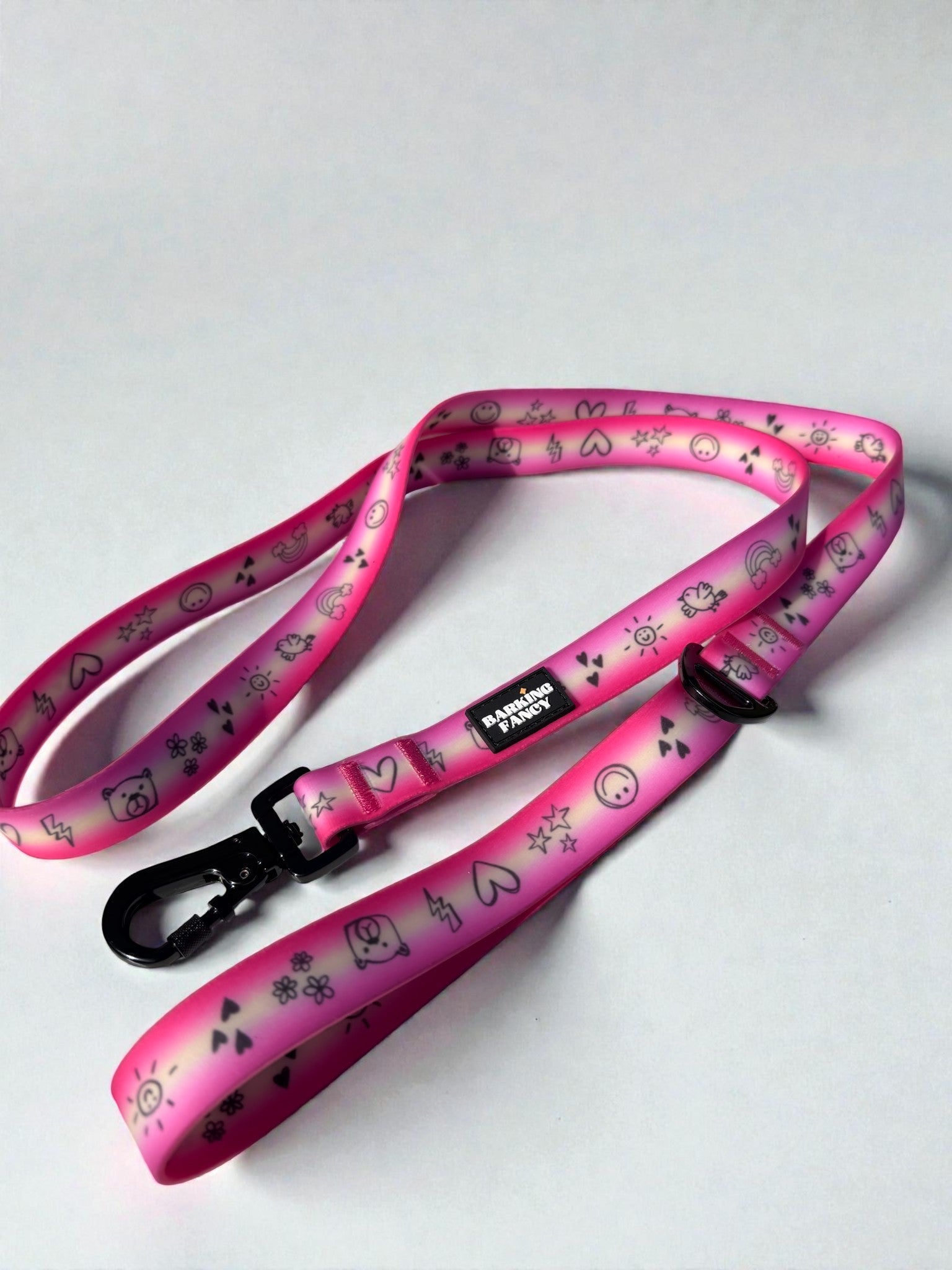 Doodles Print Waterproof Dog Leash - Pink Gradient