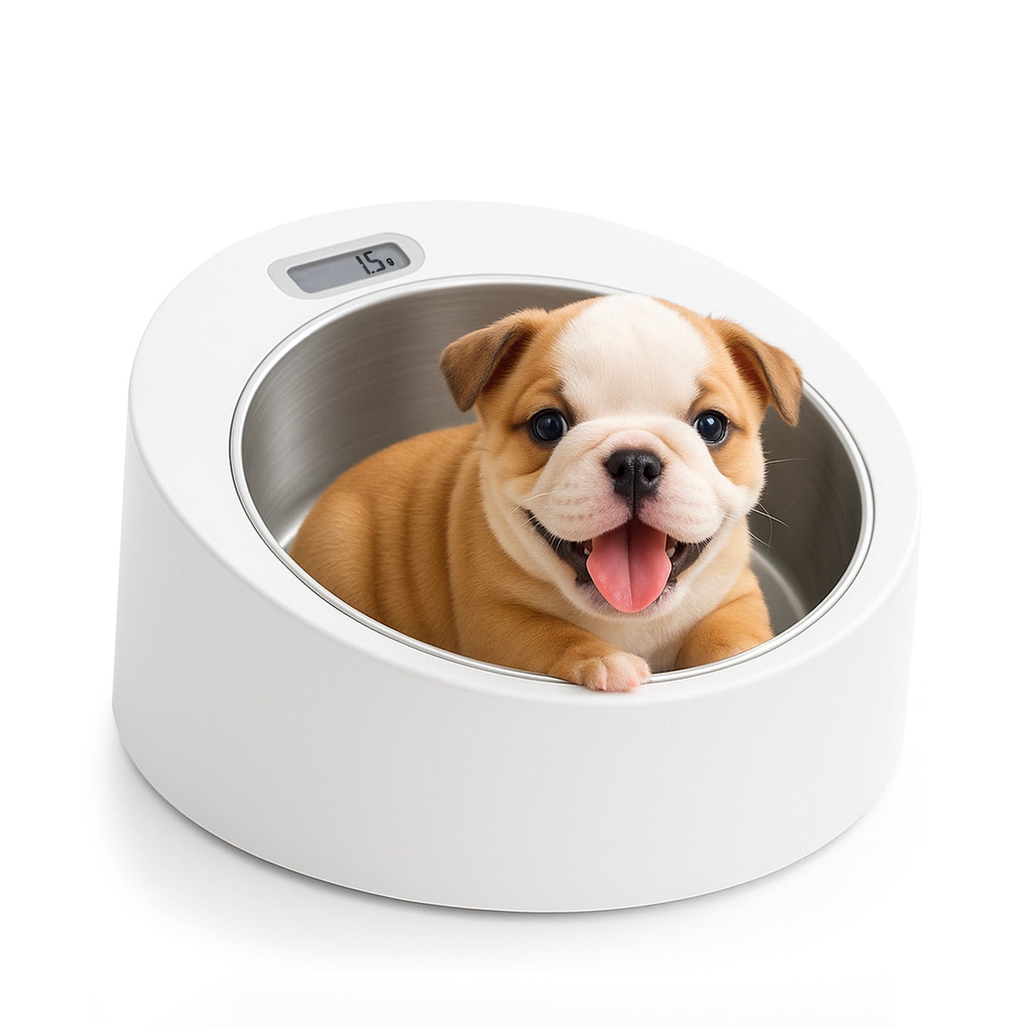 Neo Natal Puppy Scale Horizon Animal Care