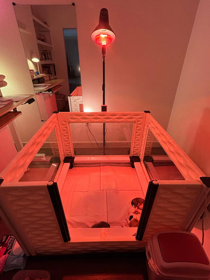 EZclassic TALL Windowed Whelping Box Set w/Rail Assembly EZwhelp