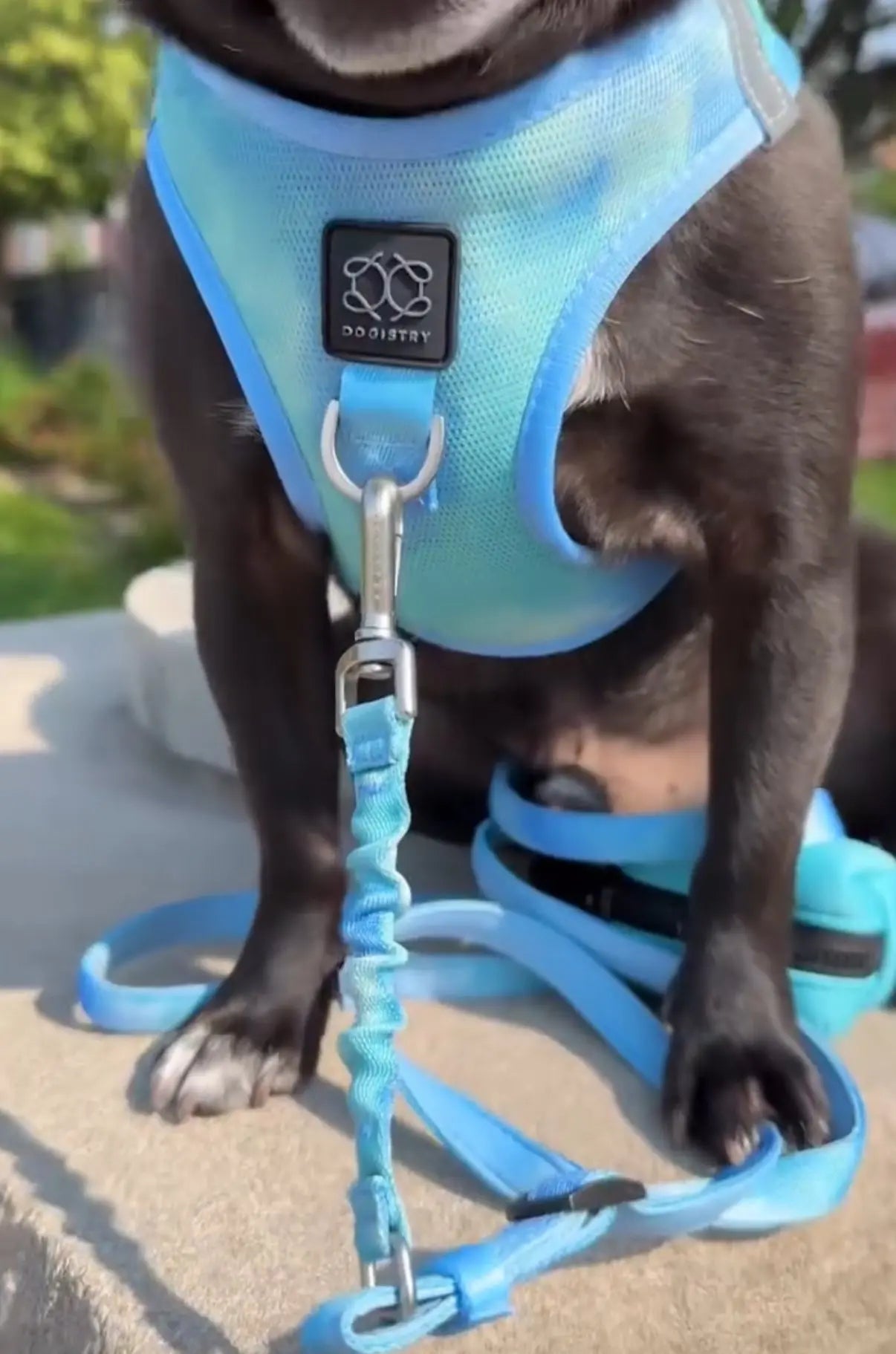 Summer AIR Harness - Ocean - K9 Outdoors