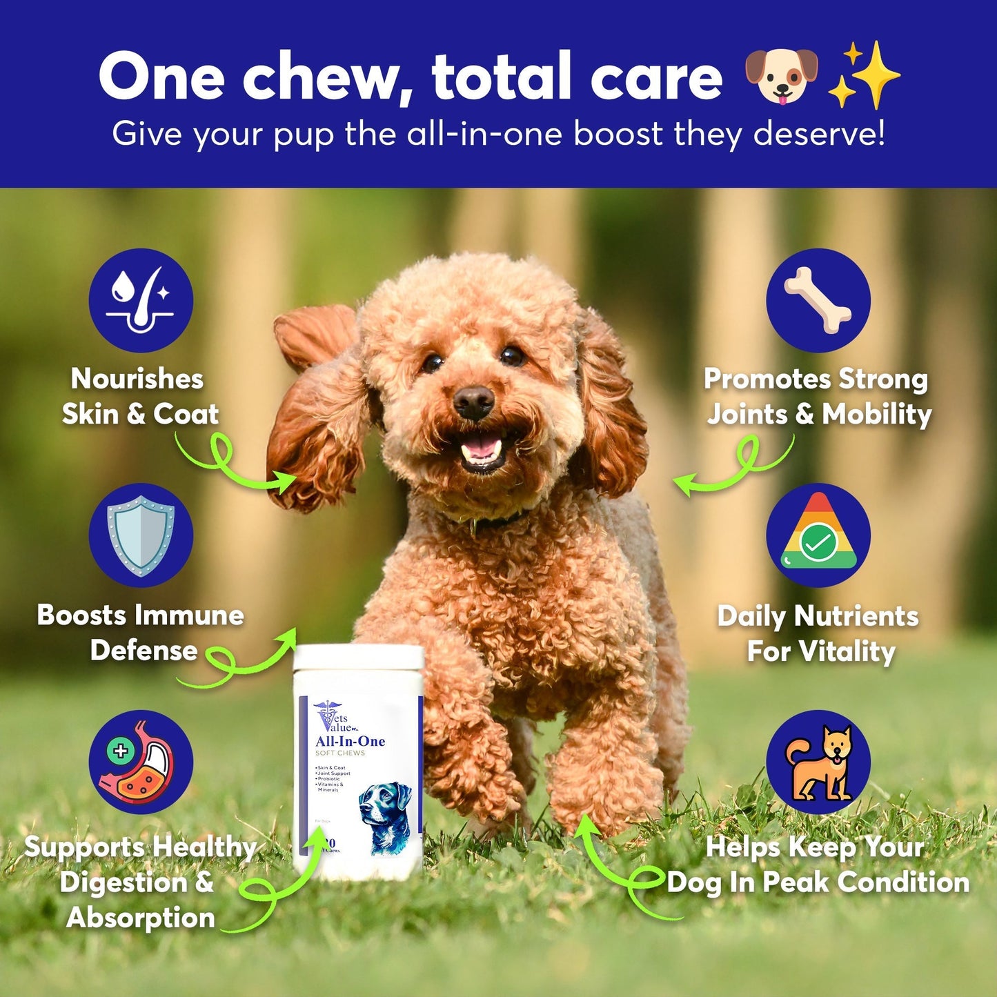 Dog Multivitamin Chews (120 Soft Chews) - All-in-One Vitamins for Dogs of All Ages, Sizes & Breeds | Supports Immunity, Digestive Health, Skin, Coat Joint Health with Glucosamine, Omega Fatty Acids Horizon Animal Care