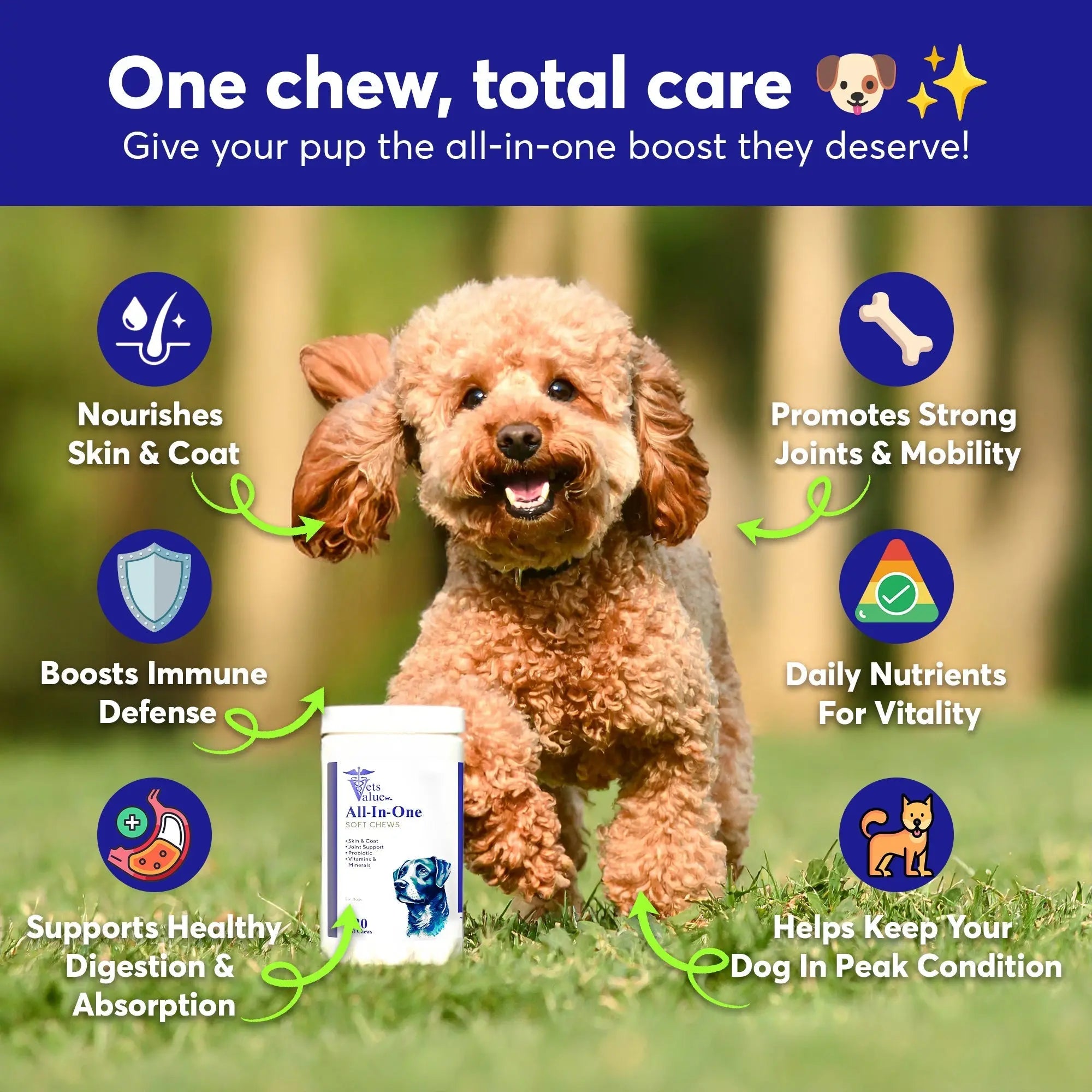 Dog Multivitamin Chews (120 Soft Chews) - All-in-One Vitamins for Dogs of All Ages, Sizes & Breeds | Supports Immunity, Digestive Health, Skin, Coat Joint Health with Glucosamine, Omega Fatty Acids Horizon Animal Care