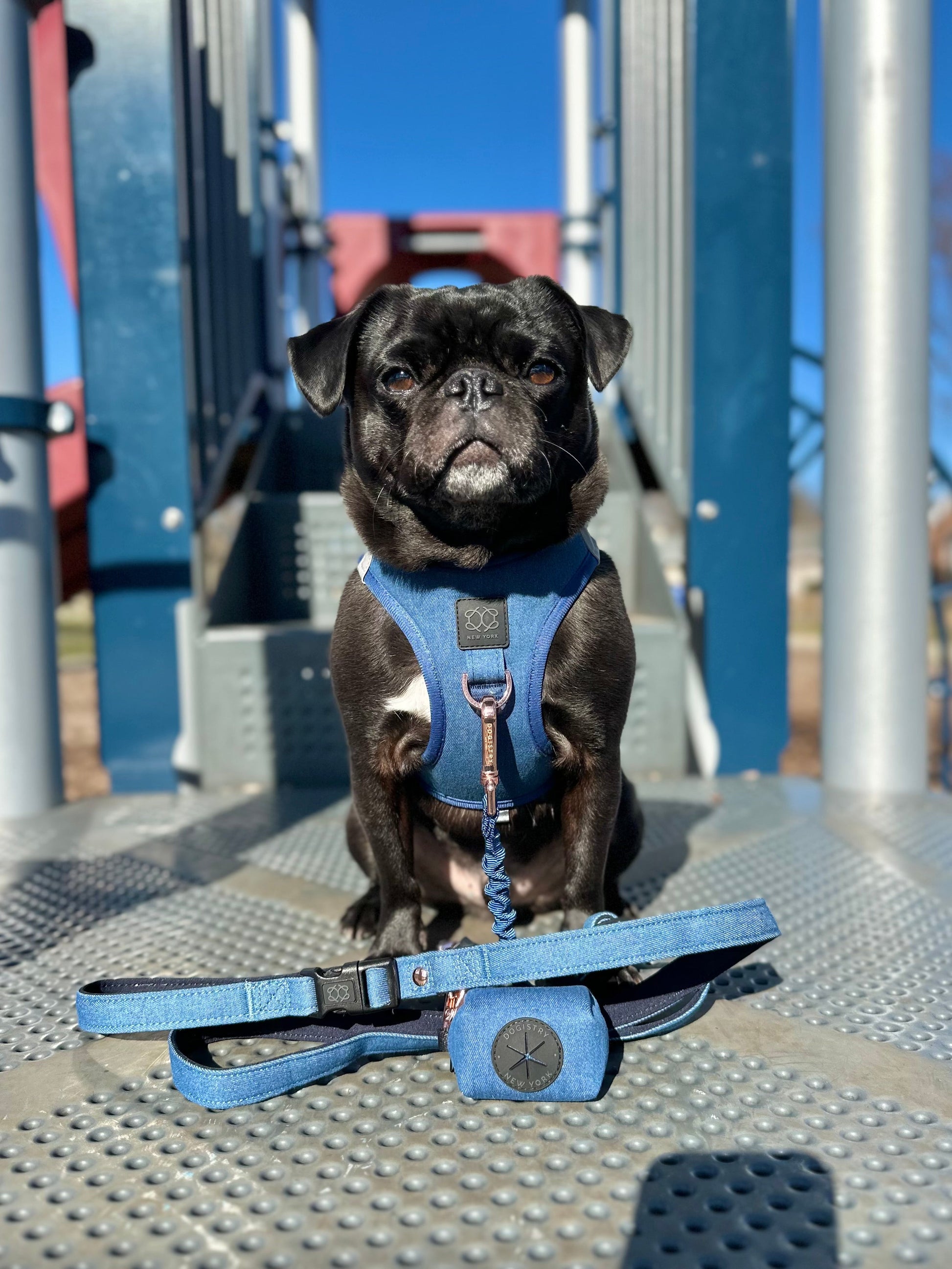 City Dog Leash - Denim Dogistry™