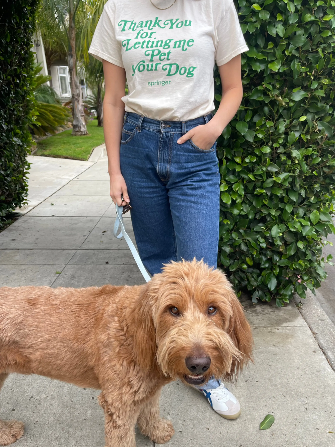 Thank You For Letting Me Pet Your Dog Tee