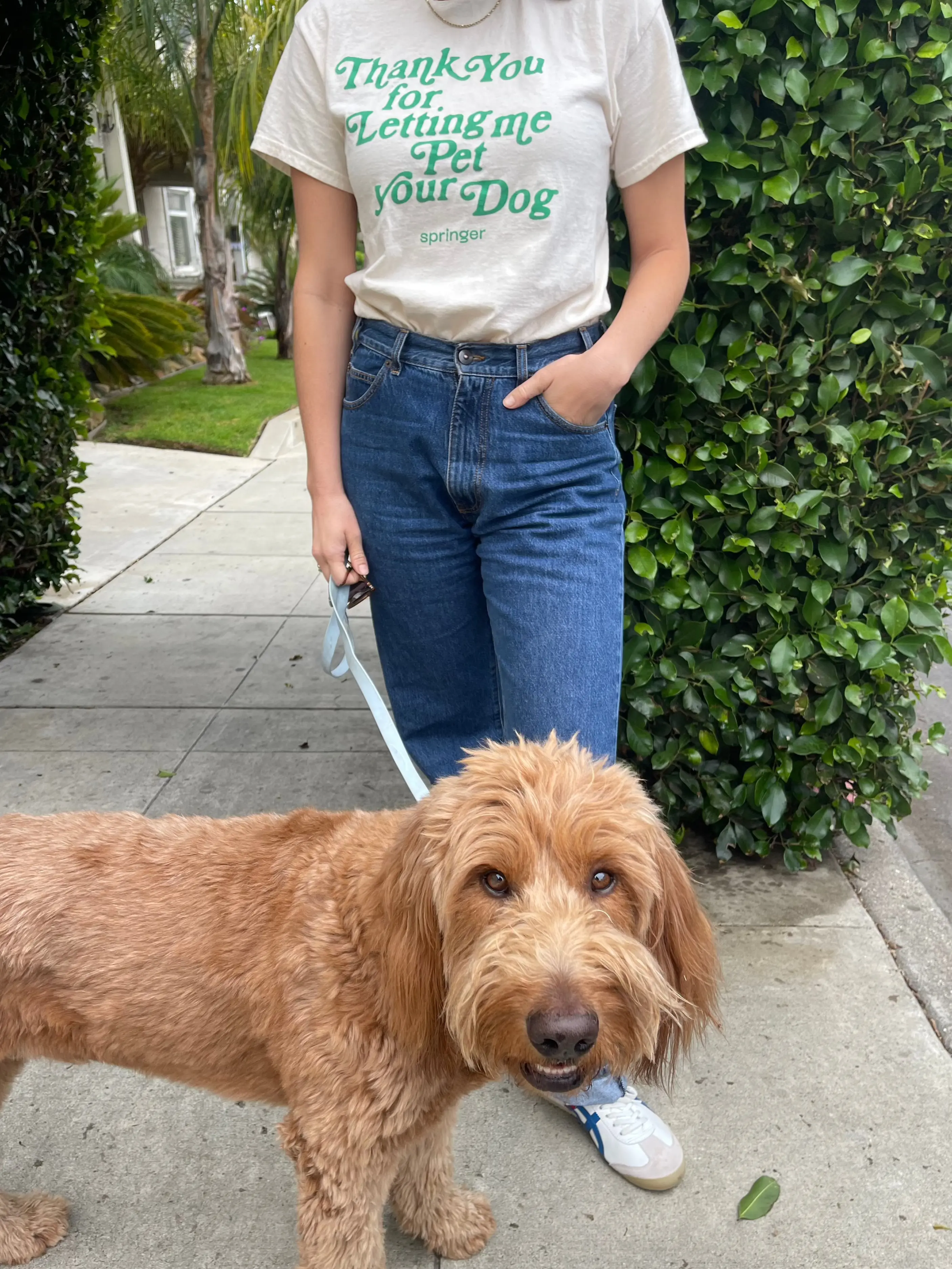 Thank You Tee Springland Pets