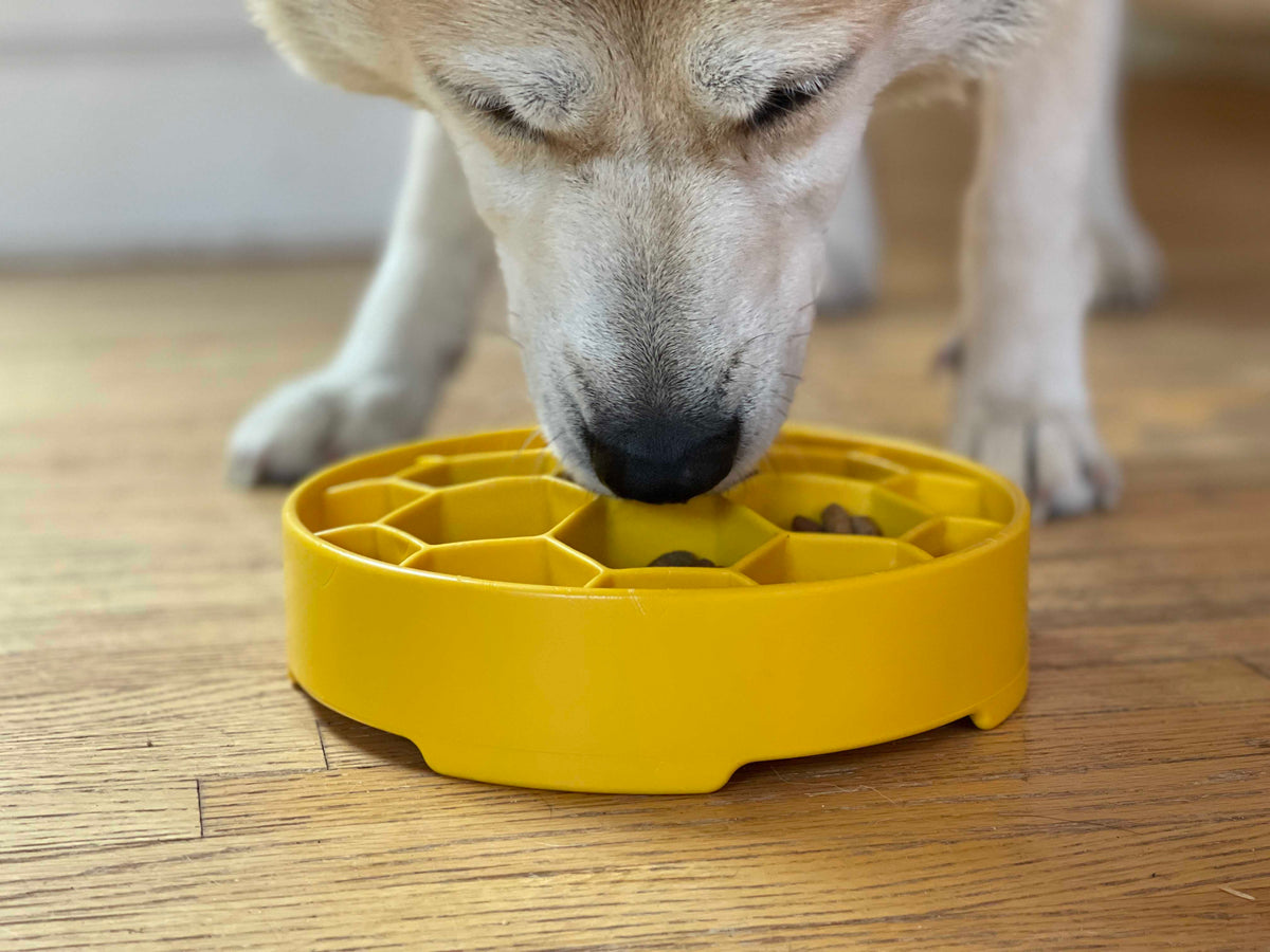 Honeycomb eBowl Deep Slow Feeder Dog Bowl for Enrichment | USA Made