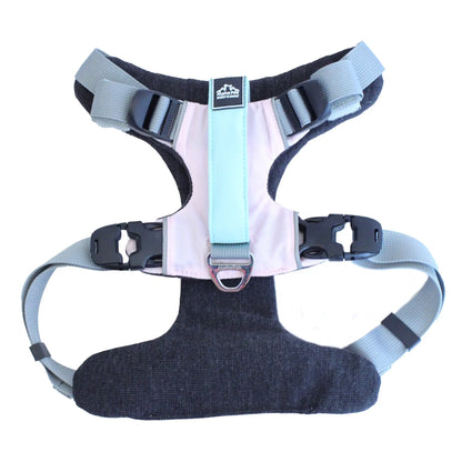 Everyday Adventure Dog Harness Alpha Pak