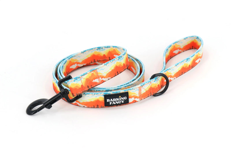 Mountainscape Dog Leash - Orange