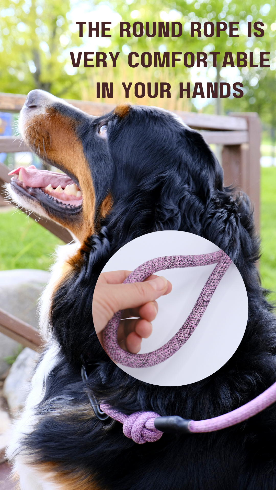 Adventure Style Mountain Blush Climbing Rope Dog Leash Euro-Dog Collars and Leads