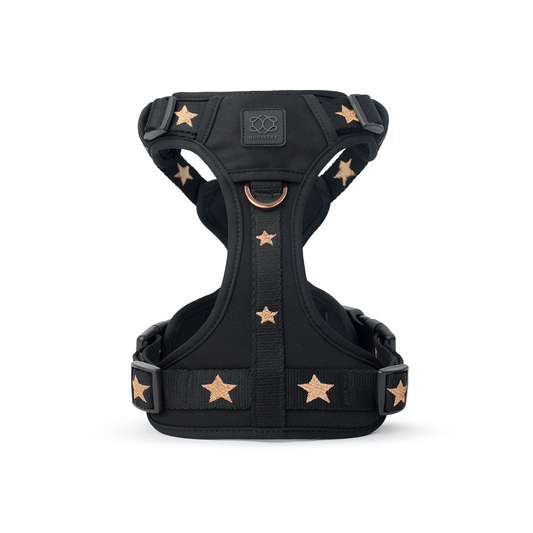 The NoMad Adjustable Luxe Harness - Rockstar