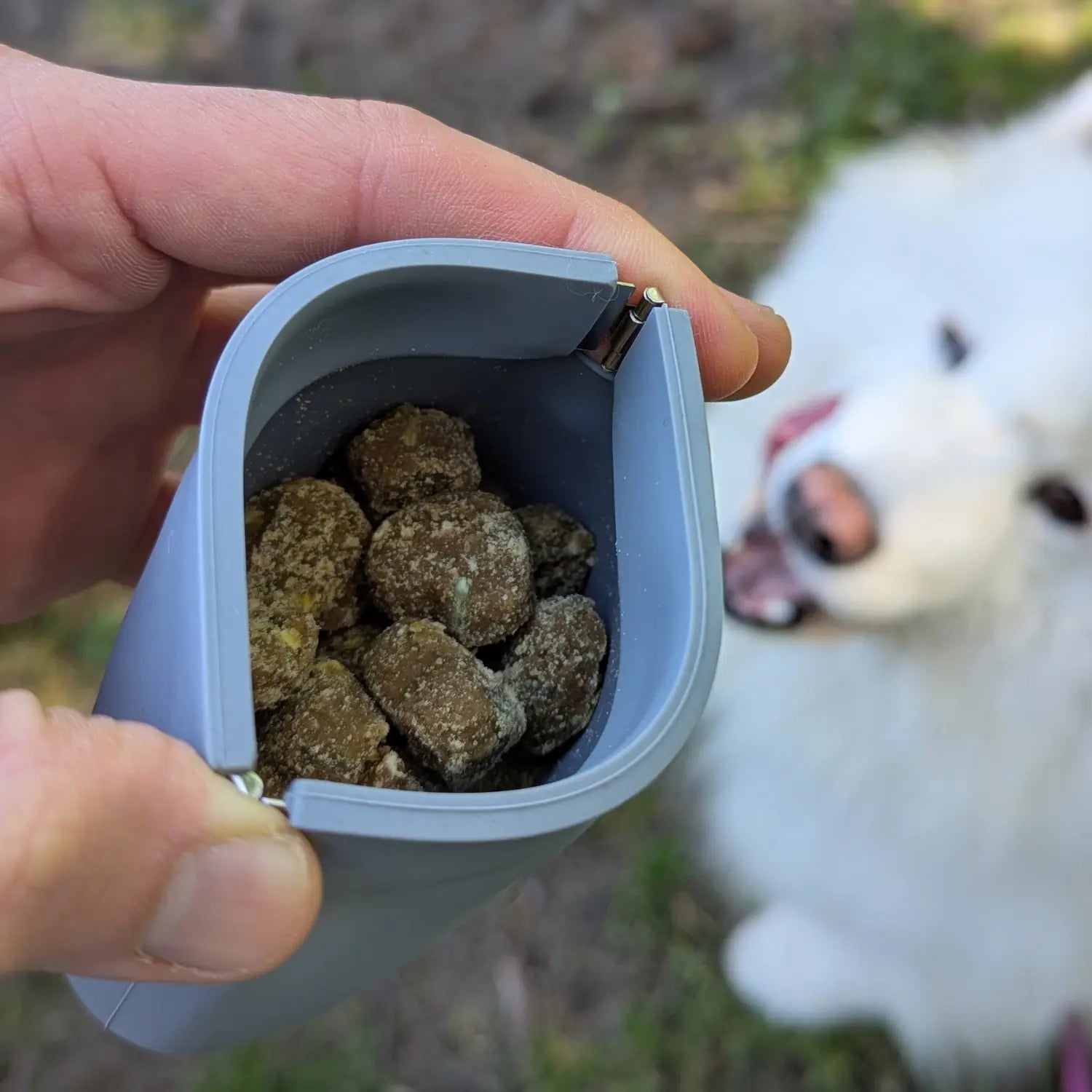 One-Hand Treat Training Pouch Up Dog Shop