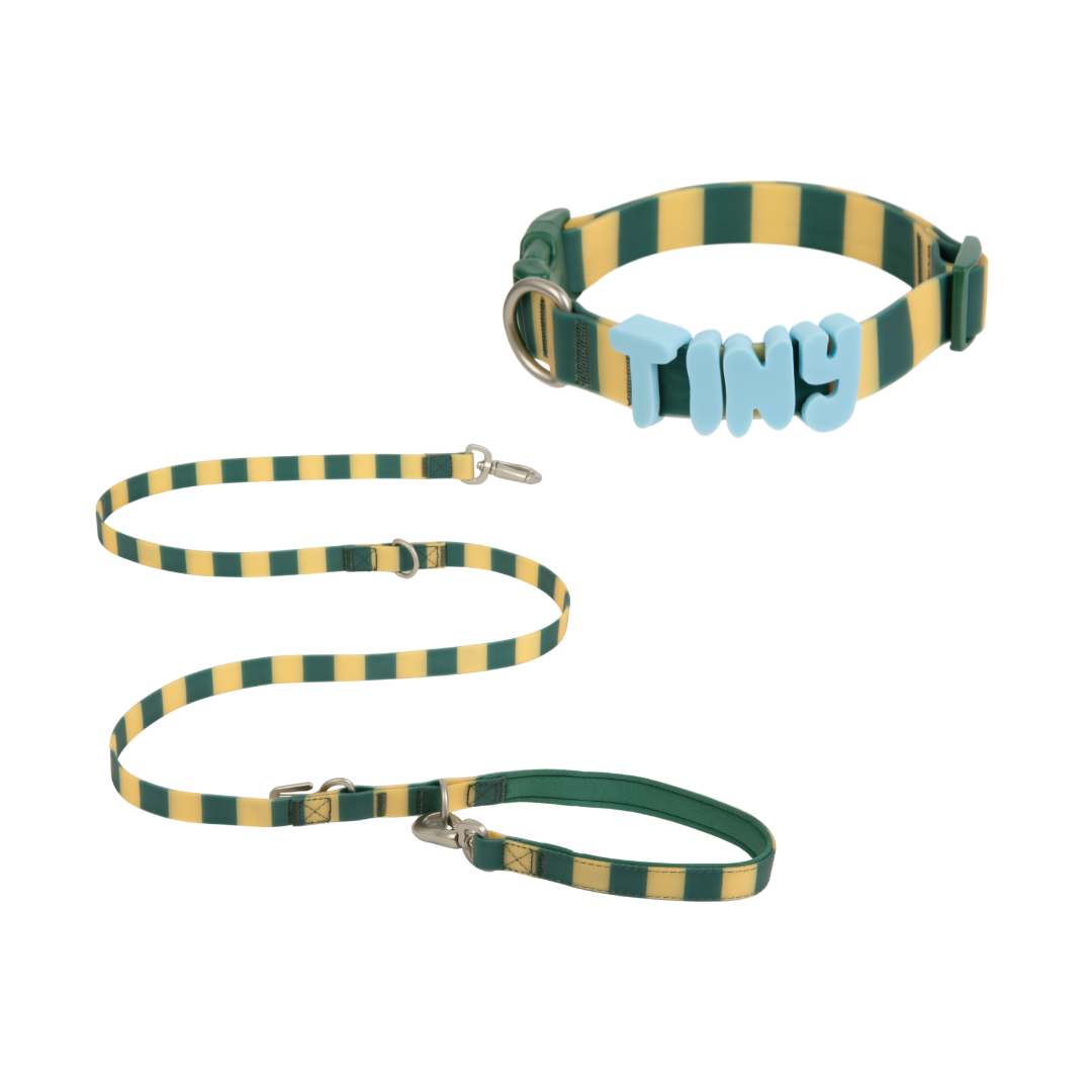 Waterproof Dog Leash - 5ft