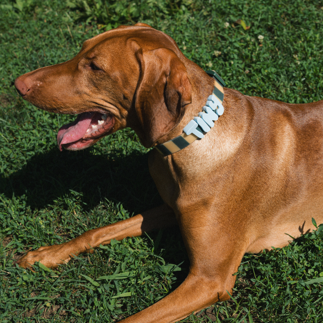 Waterproof Dog Collar