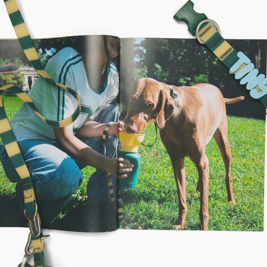 Waterproof Dog Collar