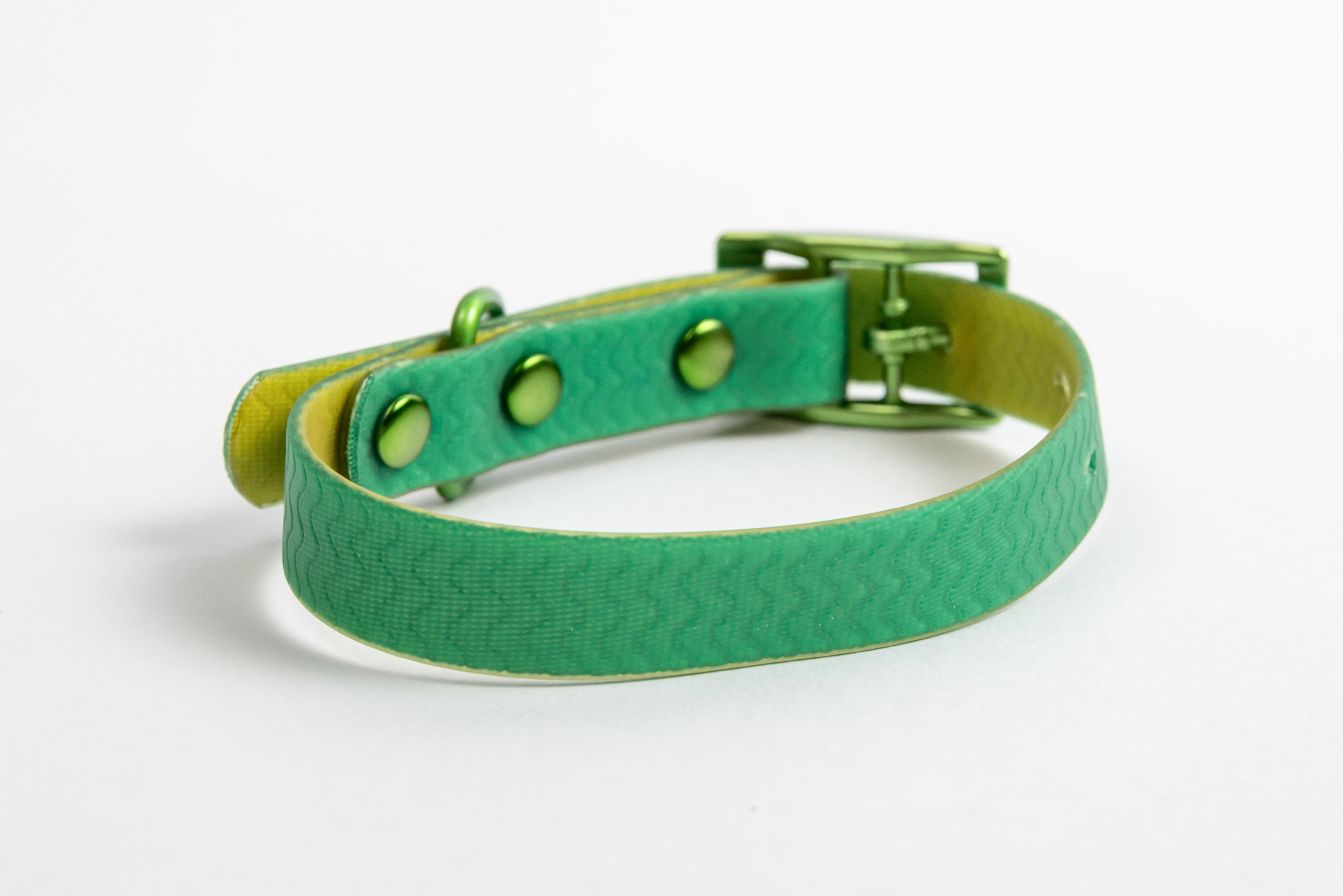 Green Jelly Collar - Waterproof Collar For Small Dogs