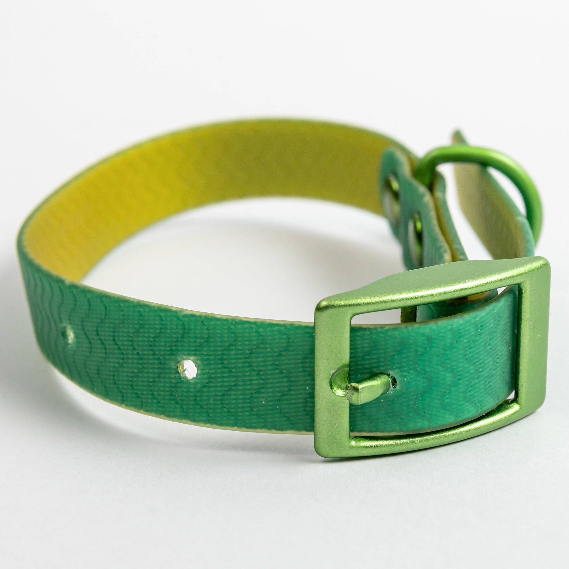 Jelly Collar - Waterproof Collar For Small Dogs (4 colors)