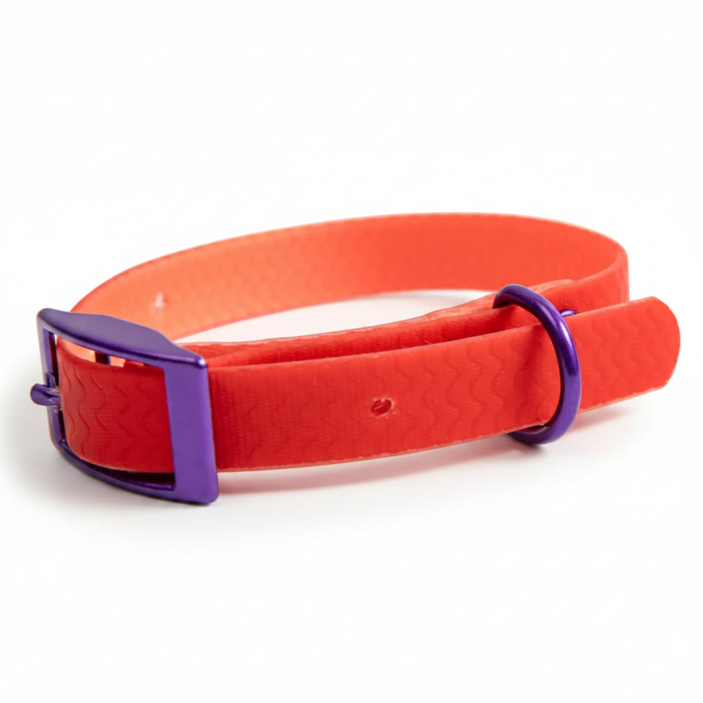 Jelly Collar - Waterproof Collar For Small Dogs (4 colors)