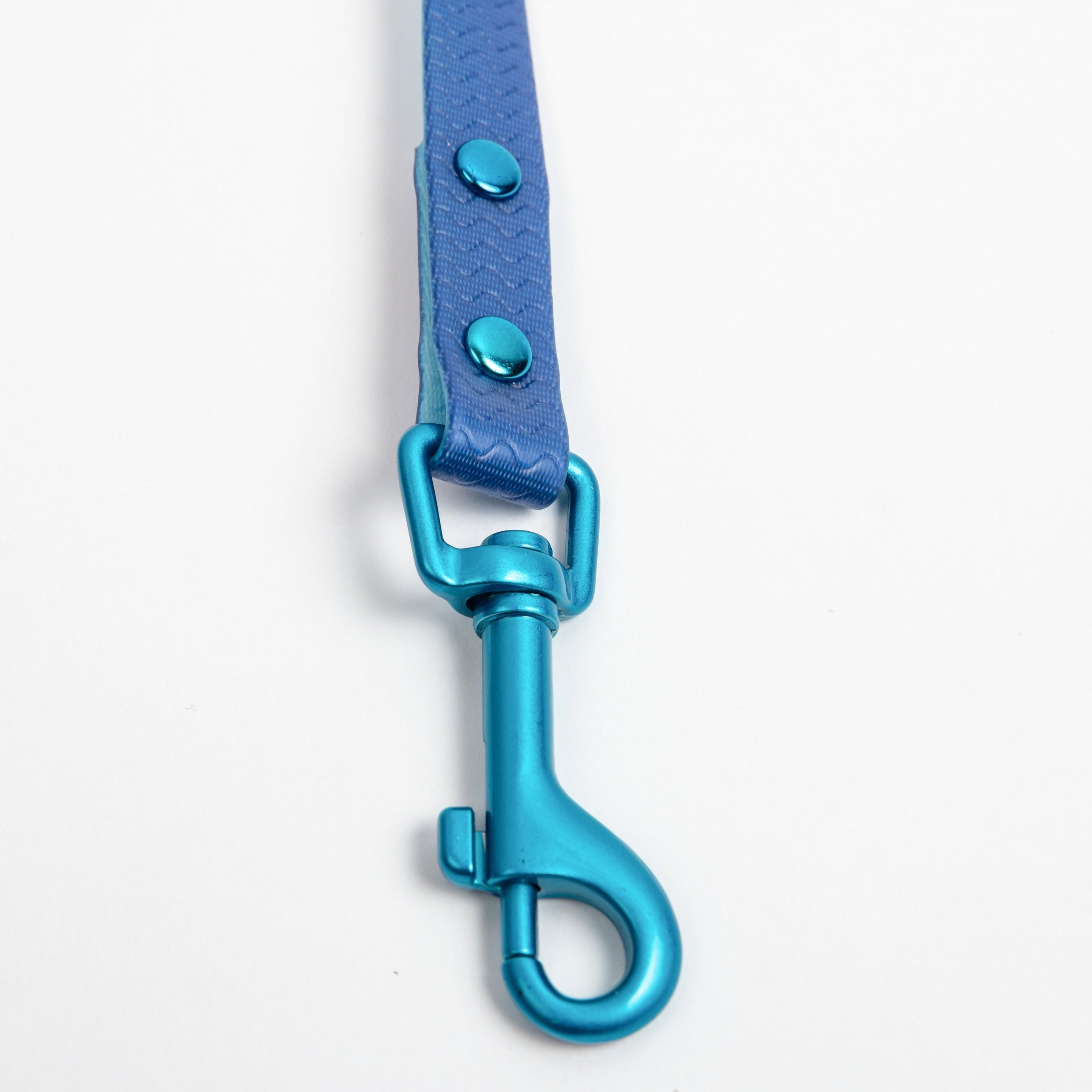 Jelly Waterproof Leash for Small Dogs