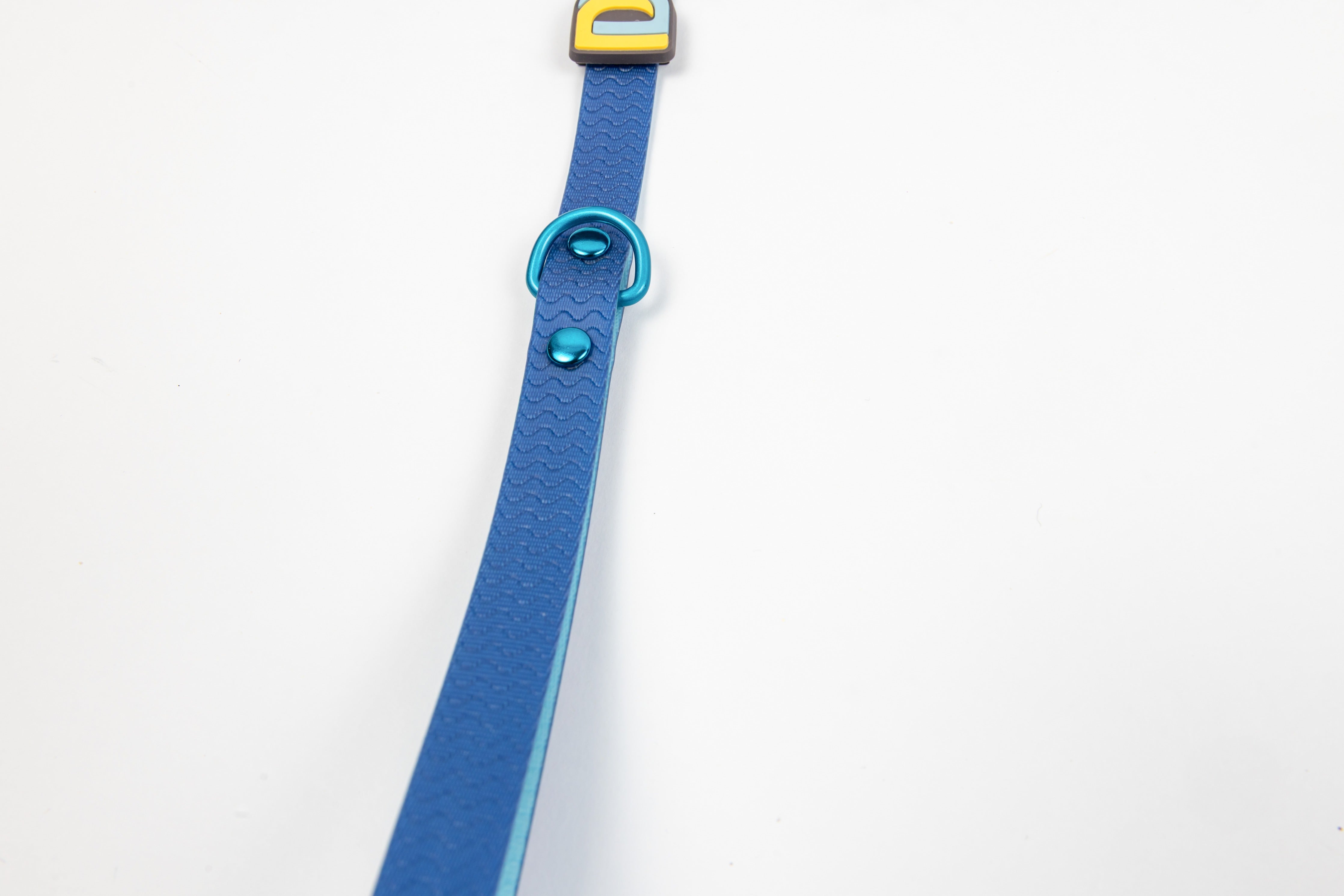 Blue Jelly Leash - Waterproof Leash for Small Dogs