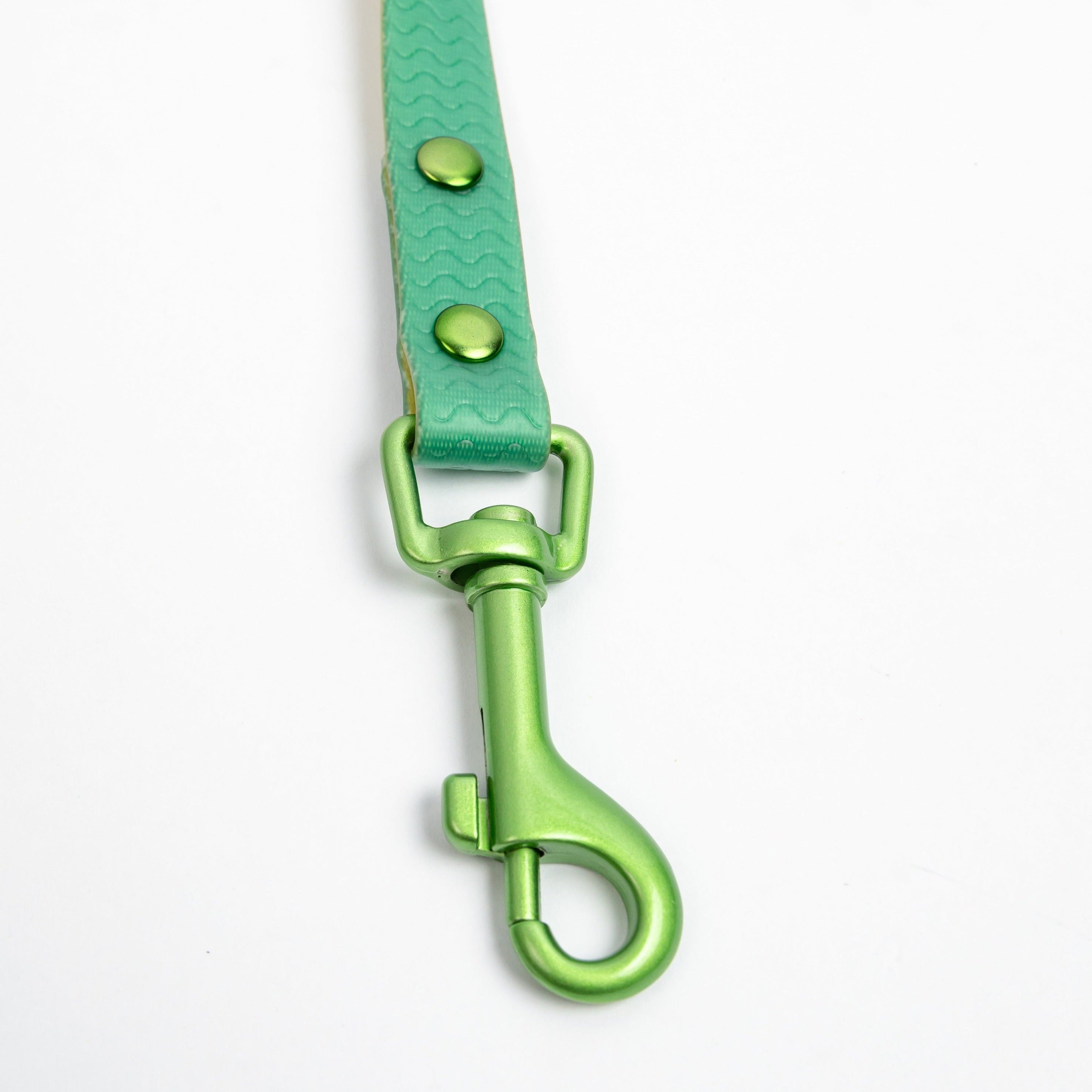 Green Jelly Leash - Waterproof Leash for Small Dogs