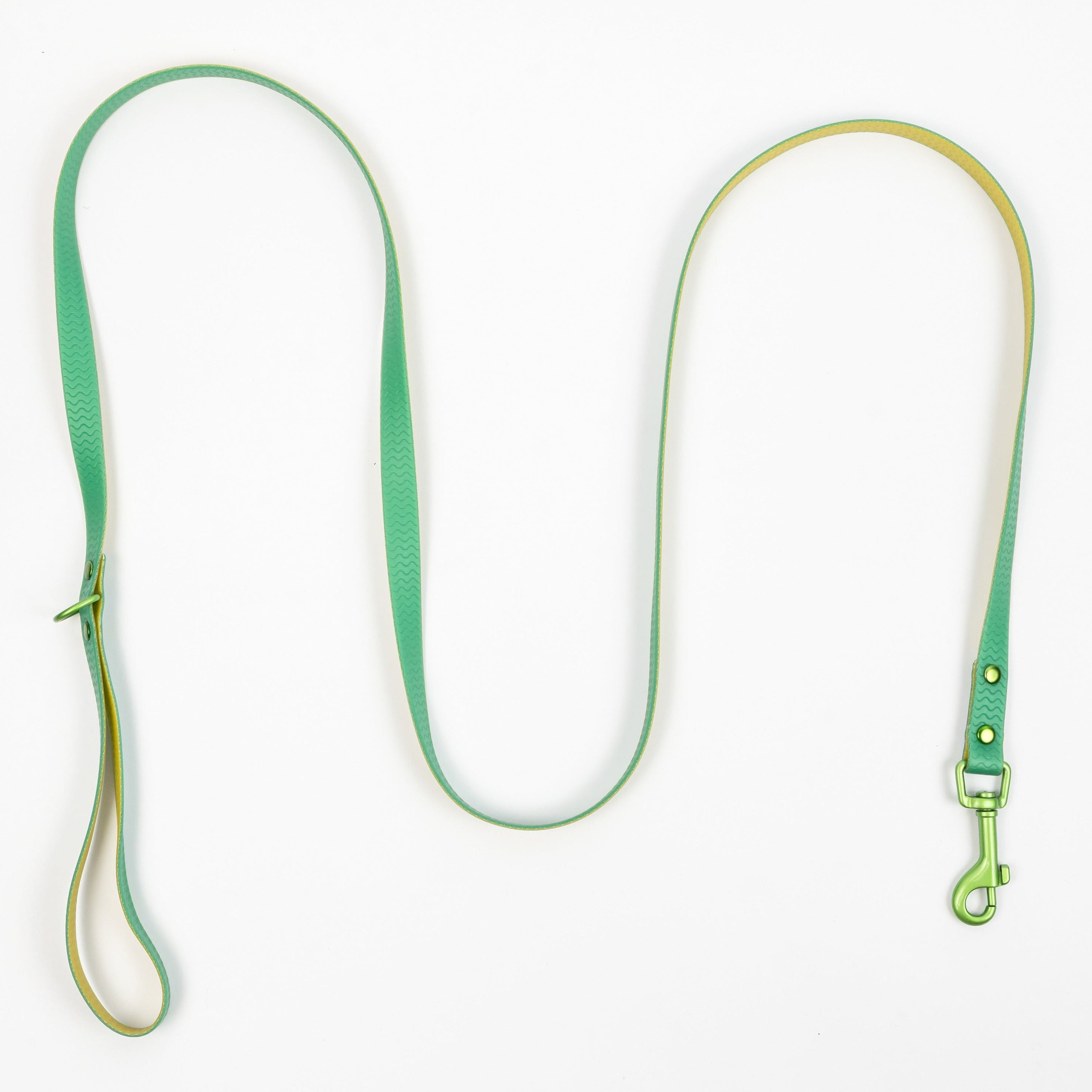 Jelly Waterproof Leash for Small Dogs