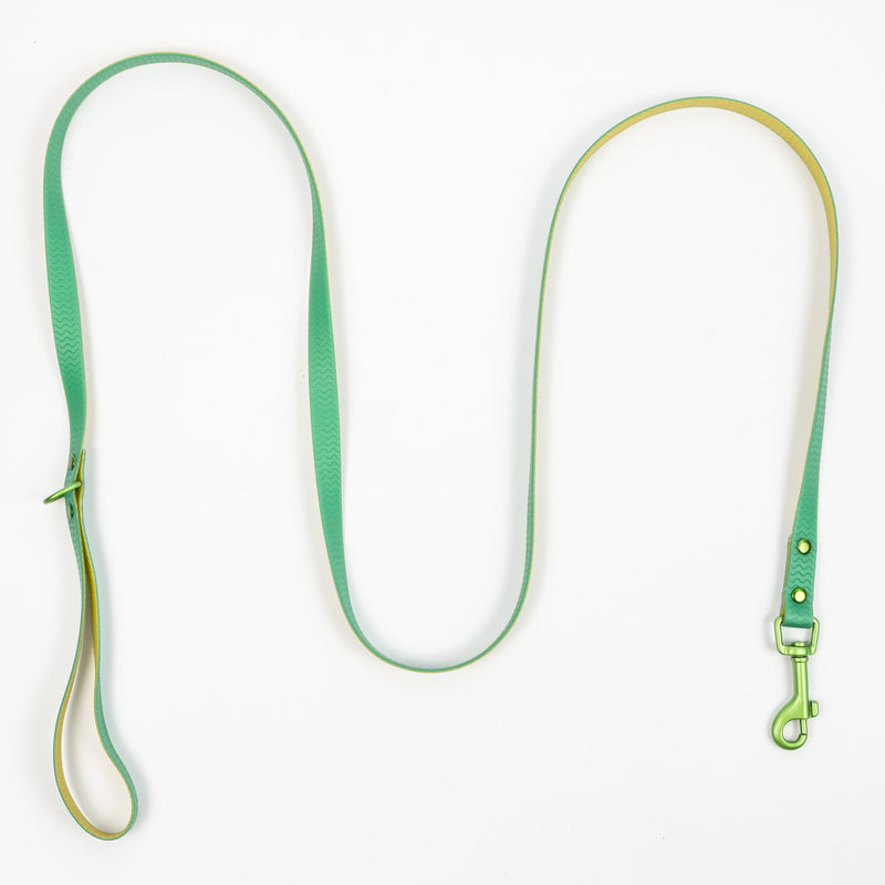 Jelly Waterproof Leash for Small Dogs