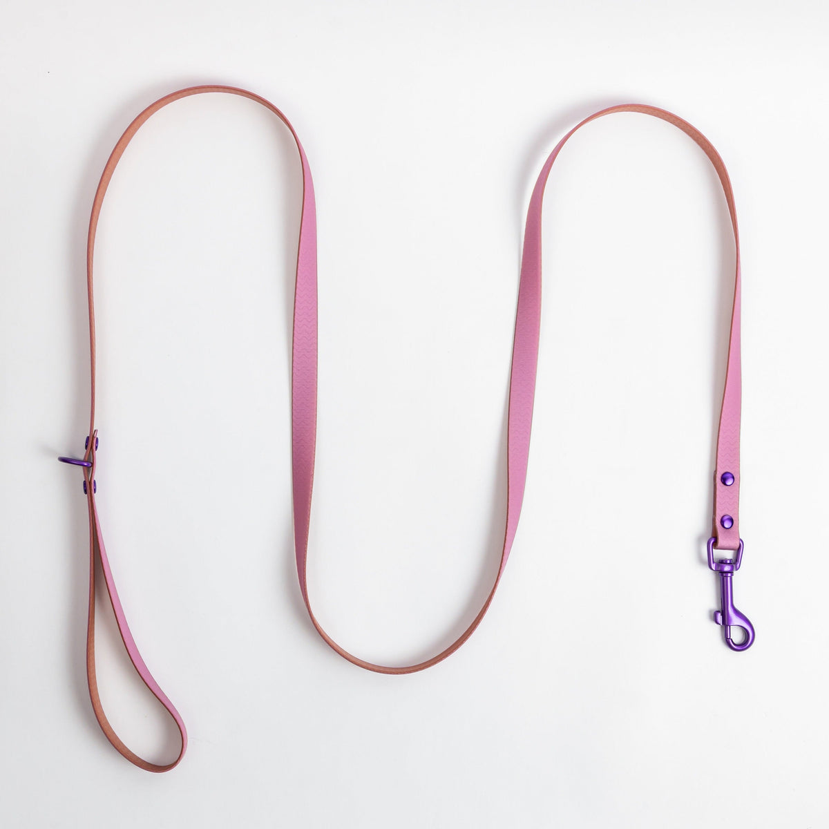 Jelly Waterproof Leash for Small Dogs