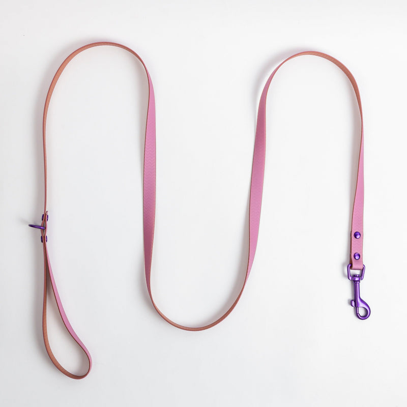Jelly Waterproof Leash for Small Dogs
