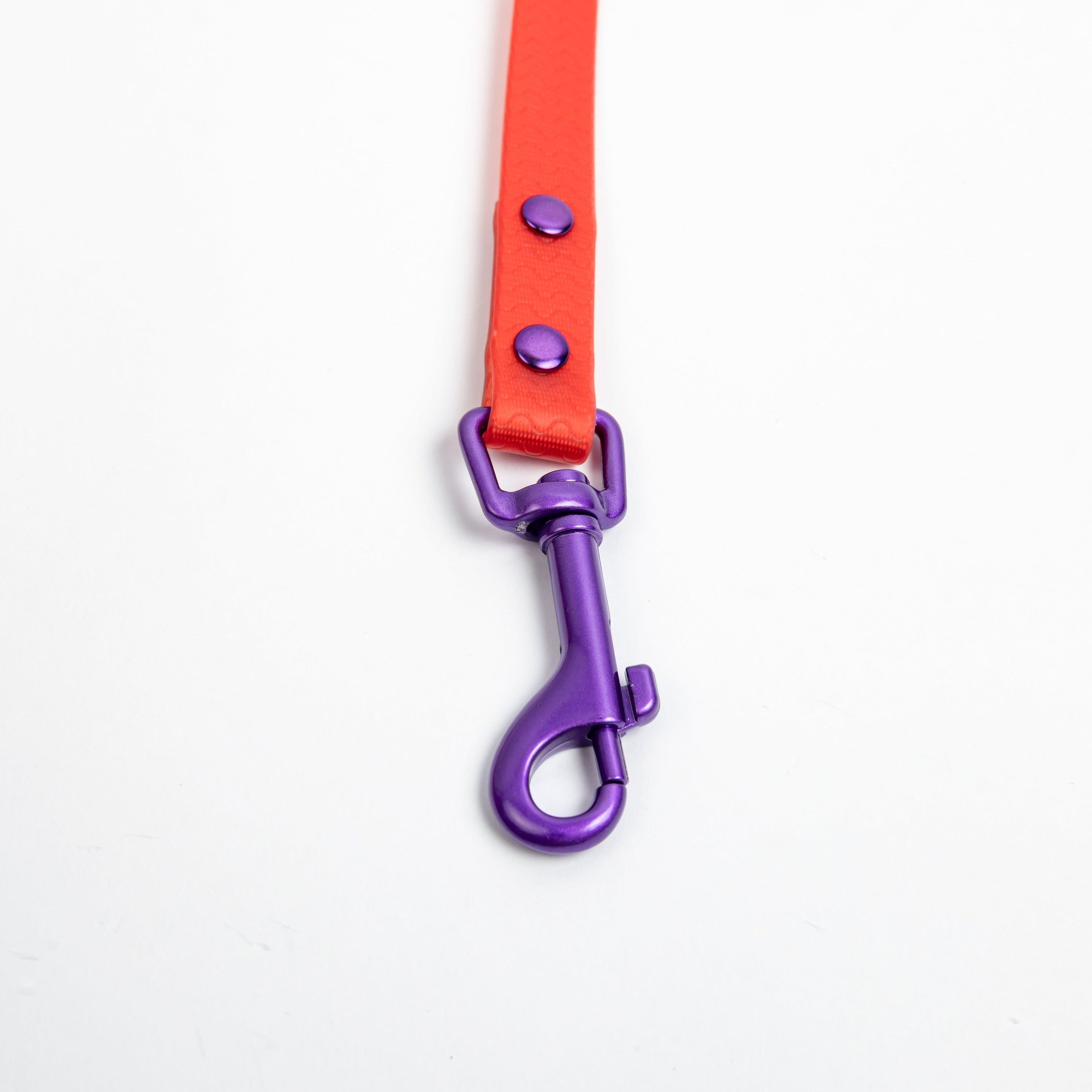 Red Jelly Leash - Waterproof Leash for Small Dogs