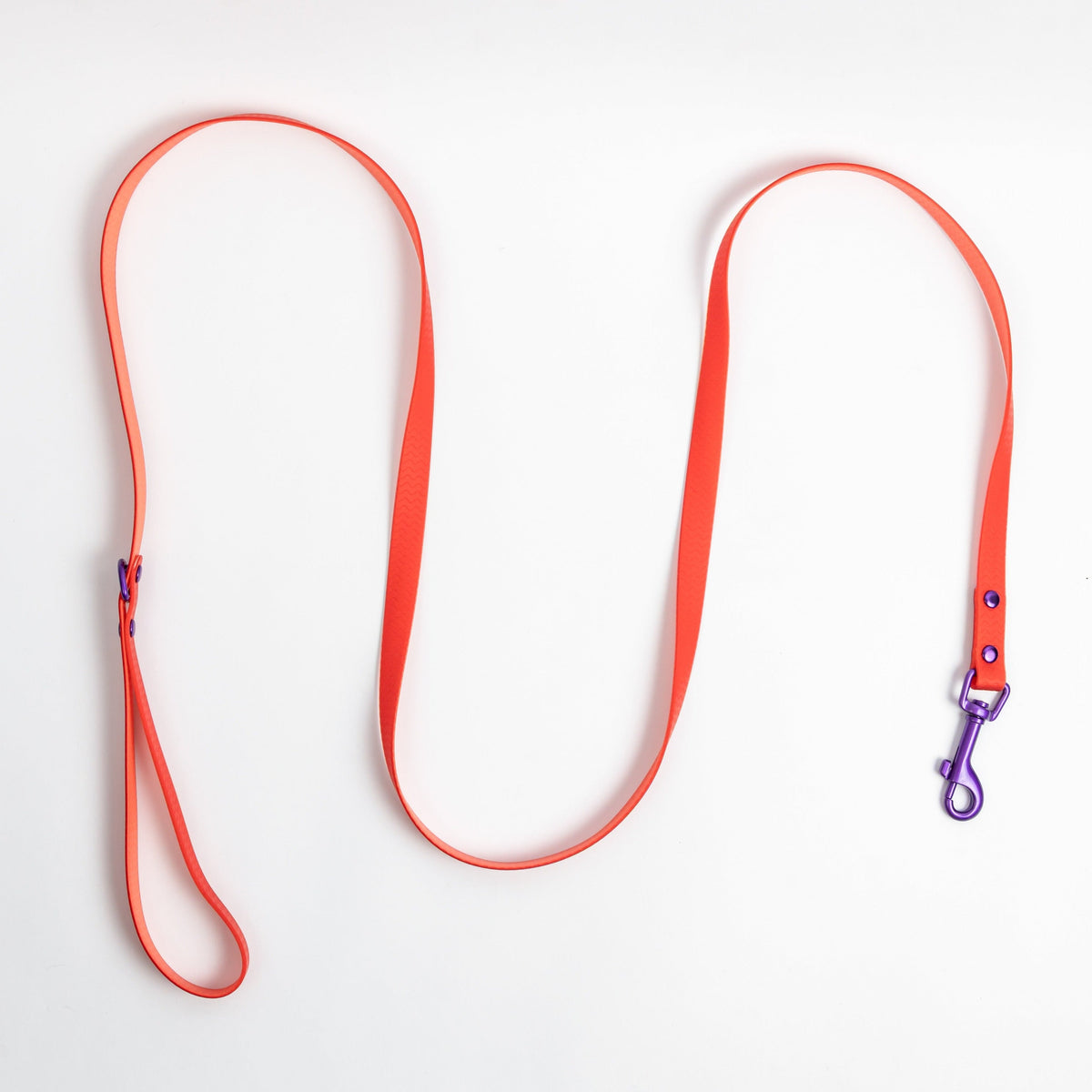 Jelly Waterproof Leash for Small Dogs