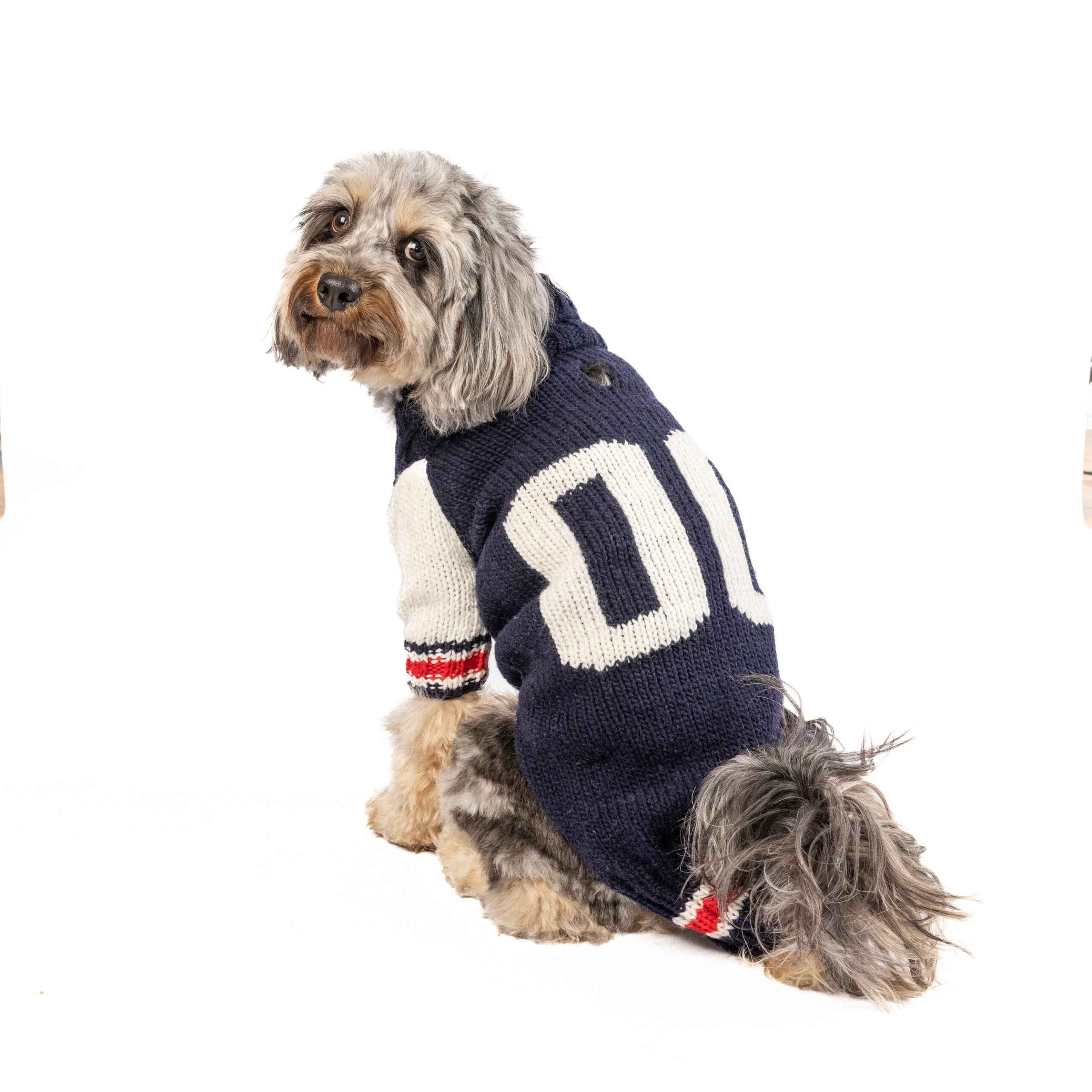 Varsity Dog Sweater