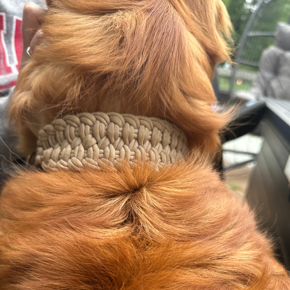 Josephine Braid Handmade Dog Collar - Customize Your Colors Pawsh Pup Co.