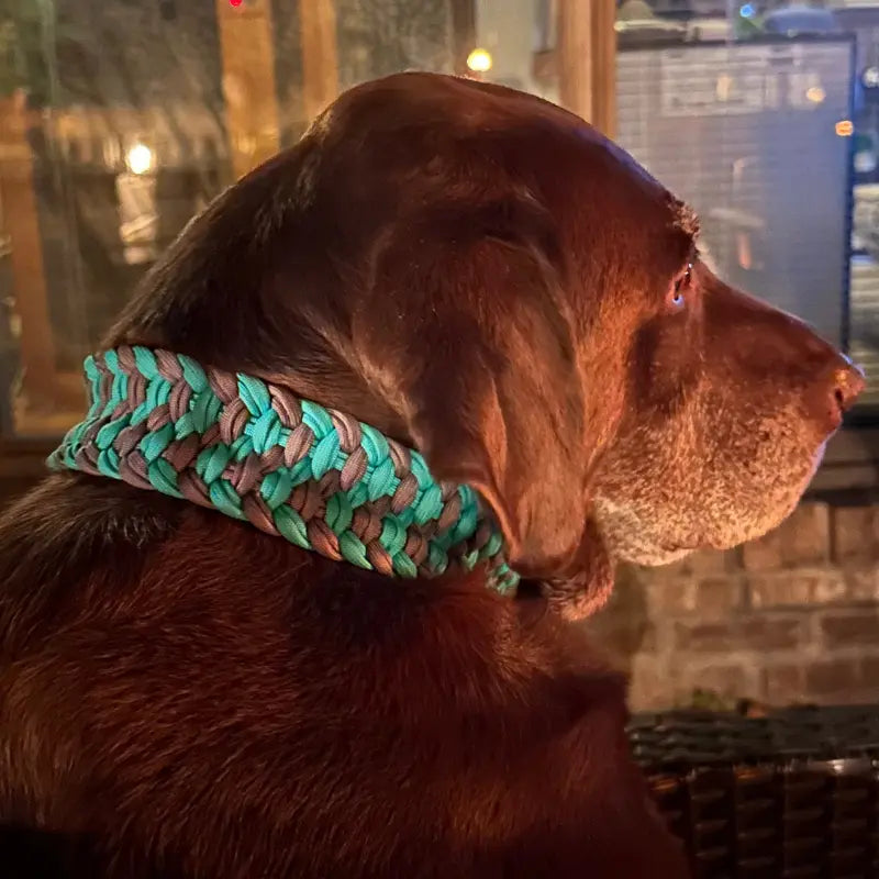 Josephine Braid Handmade Dog Collar - Customize Your Colors Pawsh Pup Co.