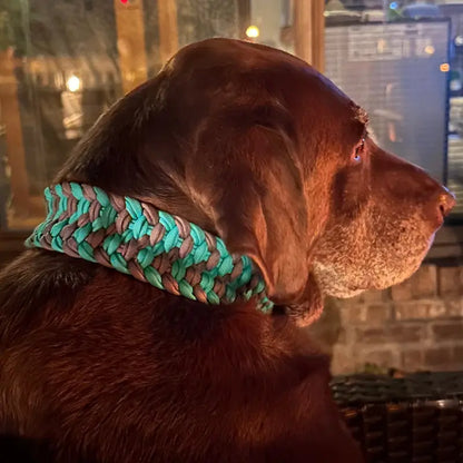 Josephine Braid Handmade Dog Collar - Customize Your Colors Pawsh Pup Co.