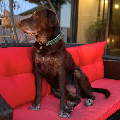 Josephine Braid Handmade Dog Collar - Customize Your Colors Pawsh Pup Co.