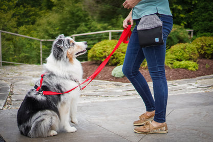 Multi-Function Leash Blue-9 Pet Products