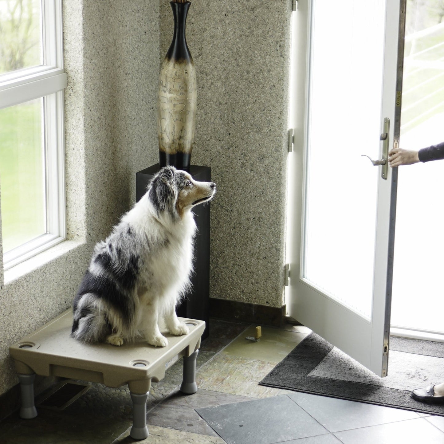 KLIMB Blue-9 Pet Products