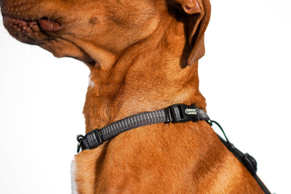 Reflective Balance Harness Blue-9 Pet Products