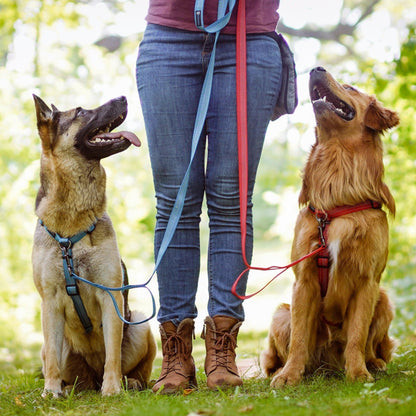 Reflective 6' Leash Blue-9 Pet Products