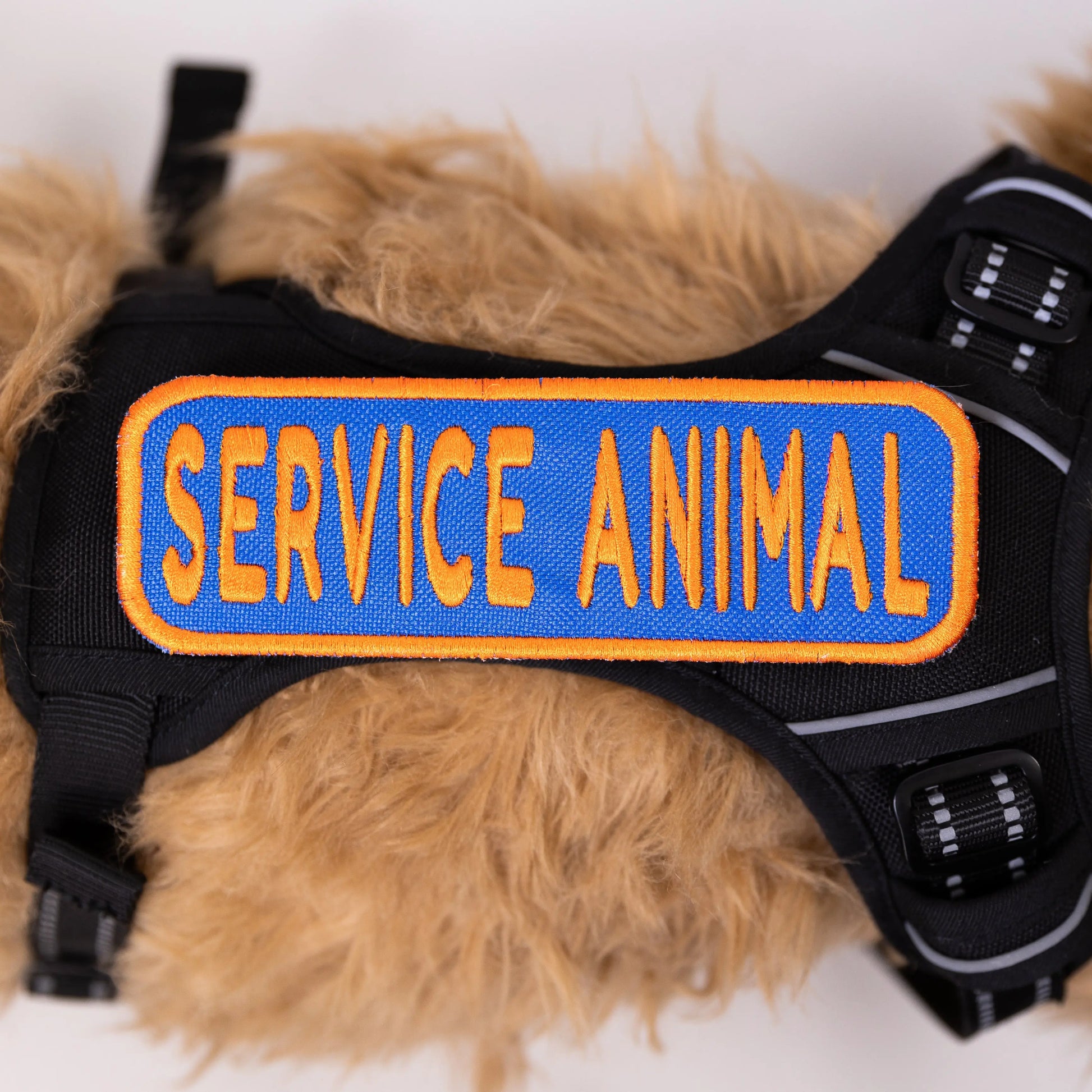 Service Animal 2x6 Patch K9 Sport Sack