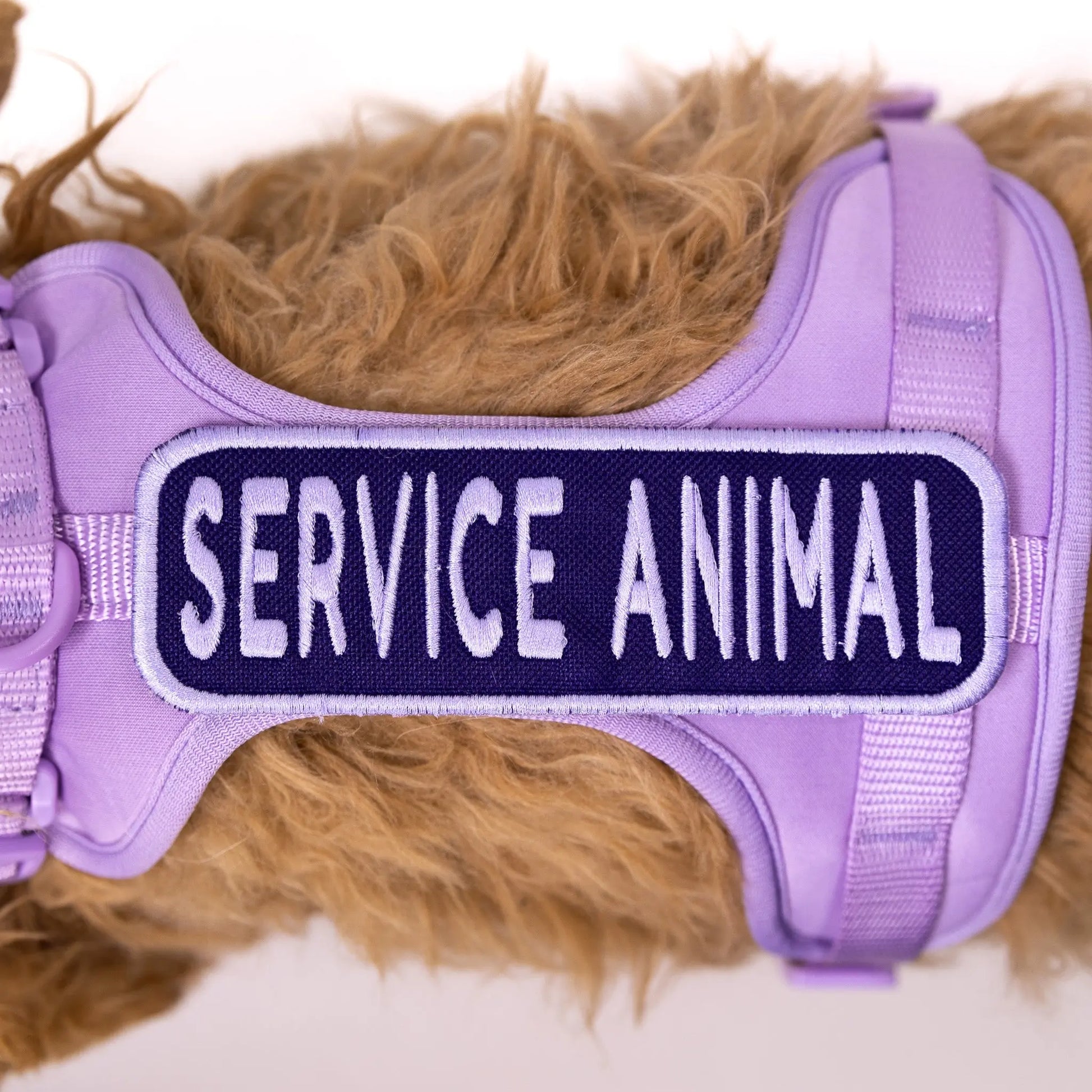 Service Animal 2x6 Patch K9 Sport Sack