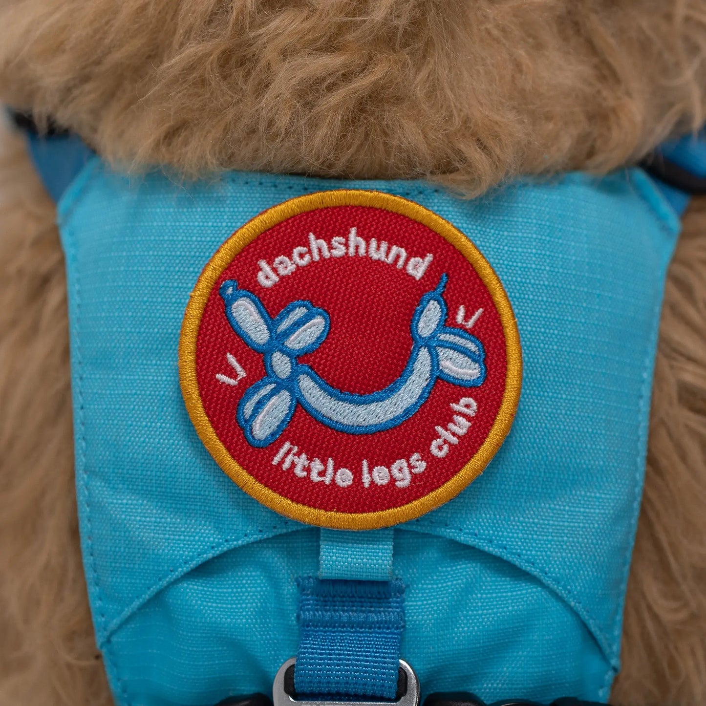 Dachshund Little Legs Club Patch K9 Sport Sack